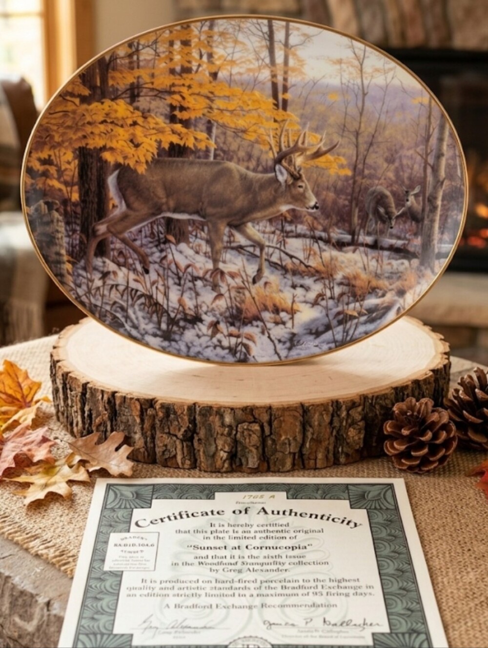 IOB Vintage 1995 Bradford Exchange "Sunset at Cornucopia" Collectors Plate